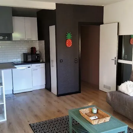 Charmant Studio Proche Des Plages Daire Mandelieu